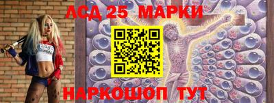 шишки Кимры
