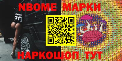 гидра Кингисепп