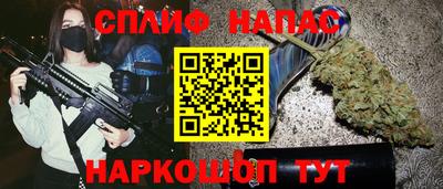гидра Кингисепп