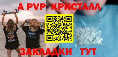 шишки Кимры
