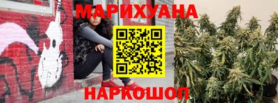 гидра Кингисепп