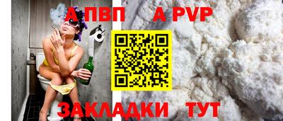 шишки Кимры