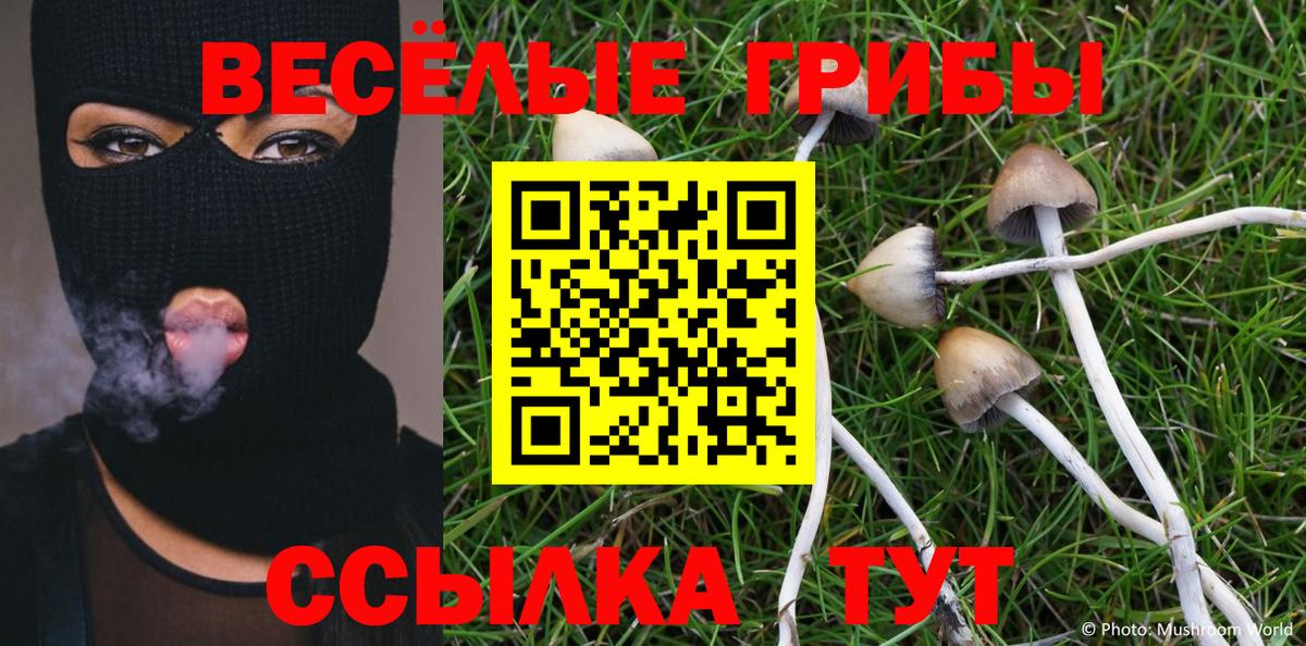 Псилоцибиновые грибы Psilocybine cubensis  Вход с VPN  Шелехов 