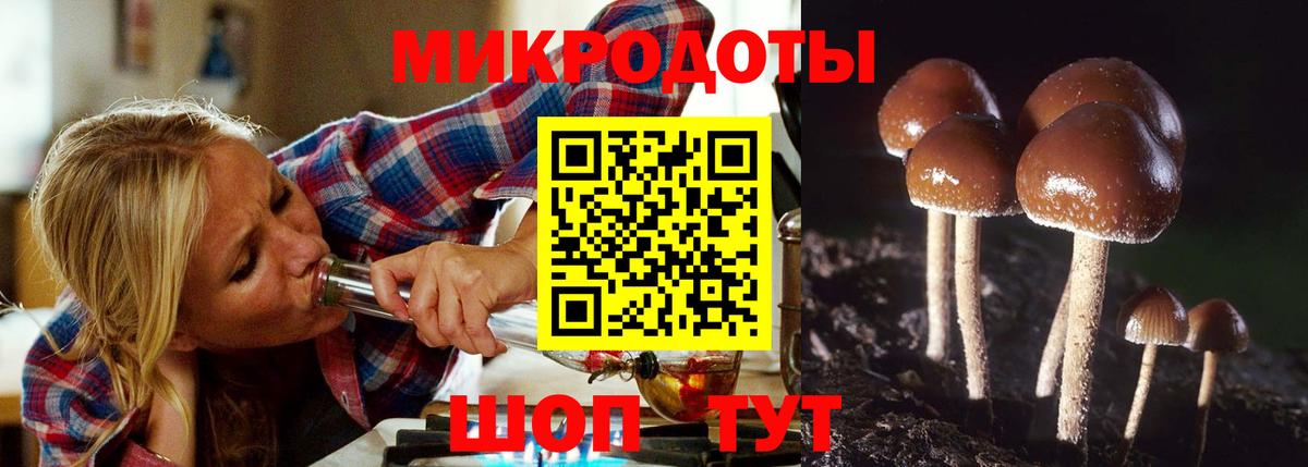 Галлюциногенные грибы мицелий Шелехов